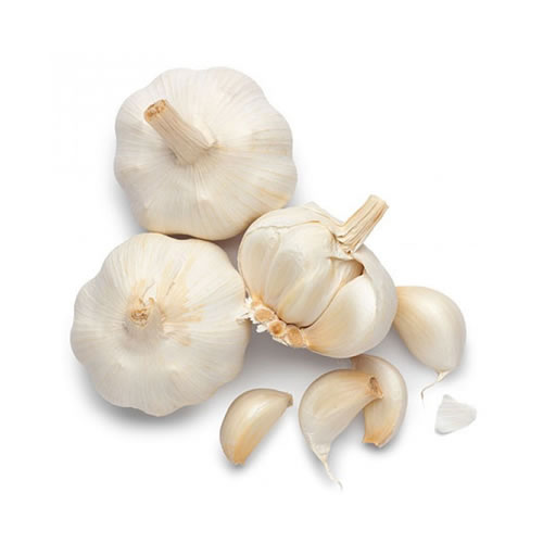 FRESH-GARLIC.jpg