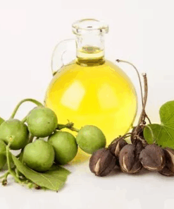 Jatropha Oil