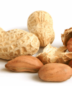 Peanut