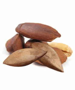Pili Nut