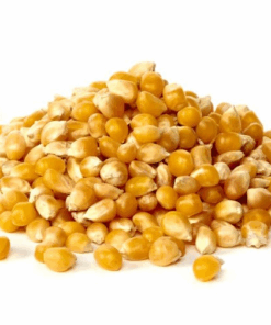 Corn
